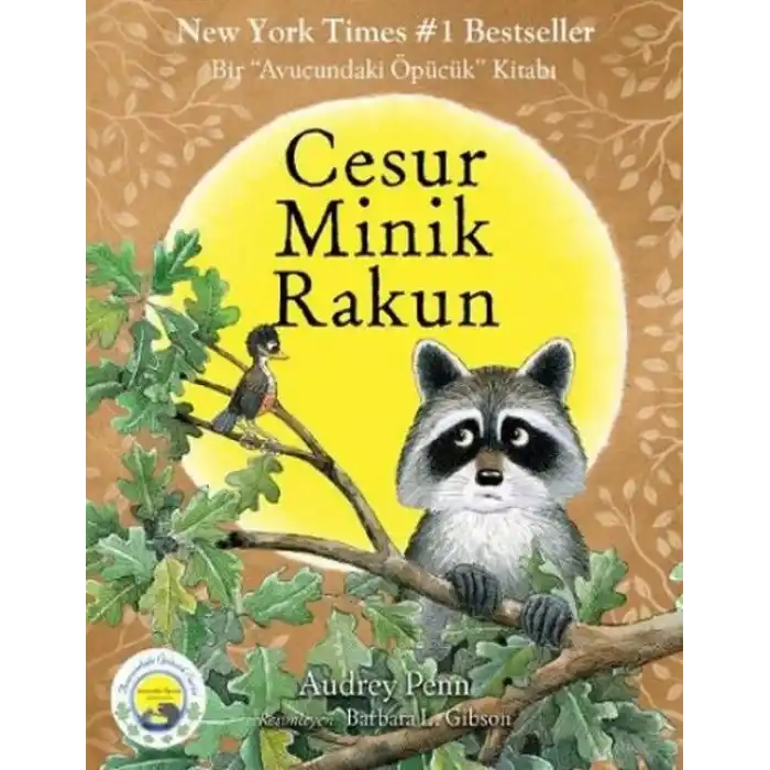 TCX Cesur Minik Rakun