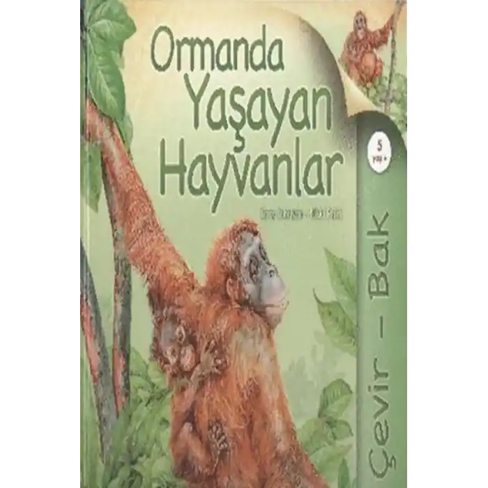 TCX Çevir Bak Ormanda Yaşayan Hayvanlar
