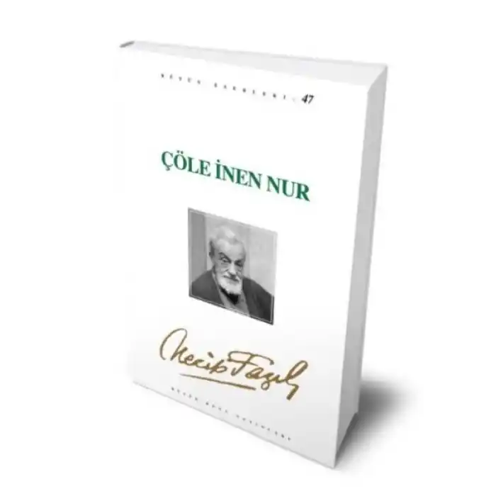 TCX Çöle İnen Nur