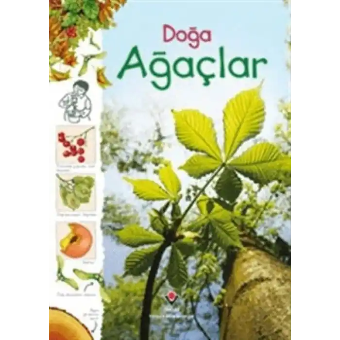 TCX Doğa - Ağaçlar