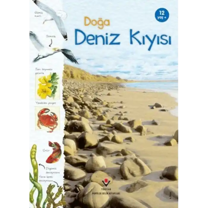 TCX Doğa Deniz Kıyısı
