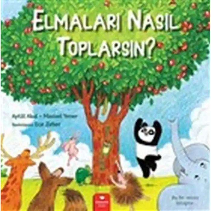 TCX Elmaları Nasıl Toplarsın?