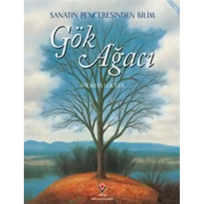 TCX Gök Ağacı