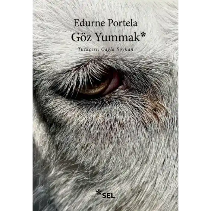 TCX Göz Yummak