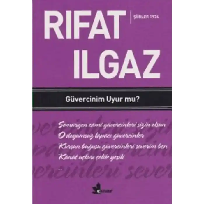 TCX Güvercinim Uyur mu ?