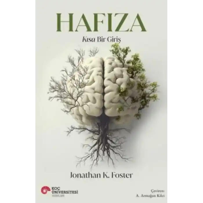 TCX Hafıza