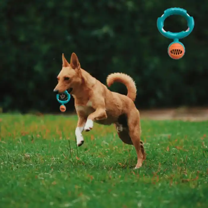 TCX HALATLI DİSK KÖPEK ISIRMA OYUNCAĞI - MAMA ÖDÜLLÜ MEKANİZMA