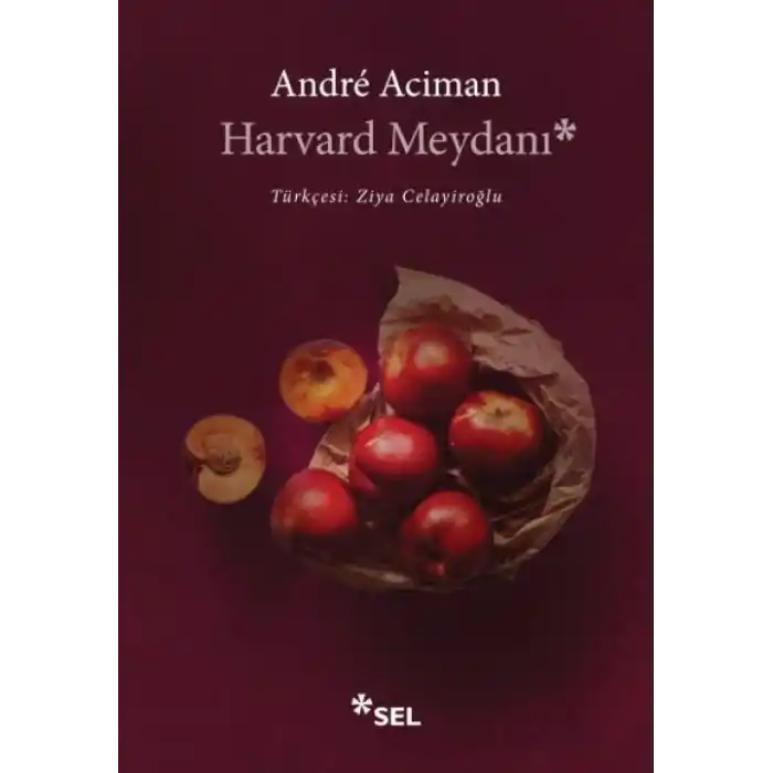 TCX Harvard Meydanı