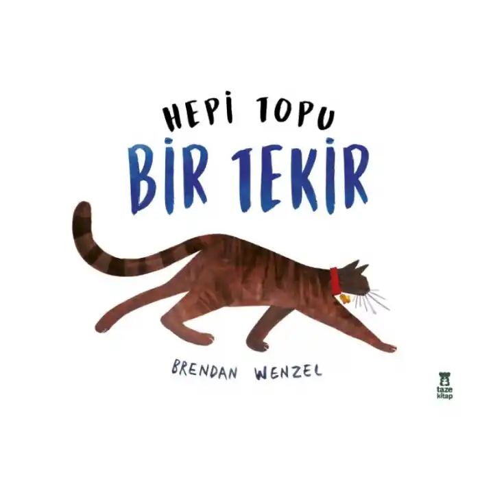 TCX Hepi Topu Bir Tekir