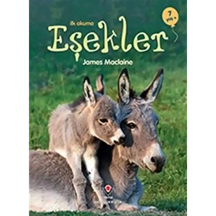TCX İlk Okuma - Eşekler