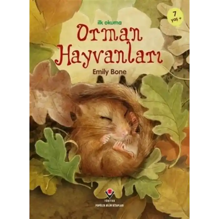TCX İlk Okuma - Orman Hayvanları