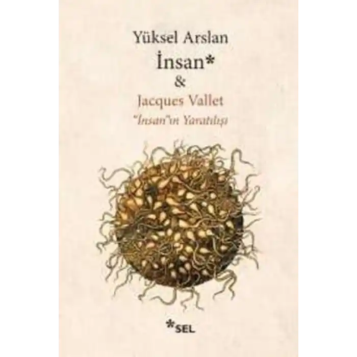 TCX İnsan