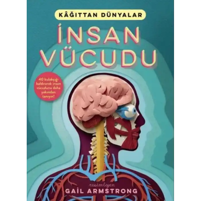 TCX İnsan Vücudu