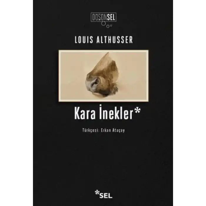 TCX Kara İnekler
