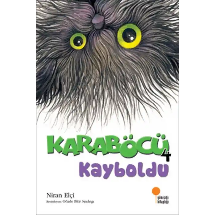 TCX Karaböcü Kayboldu