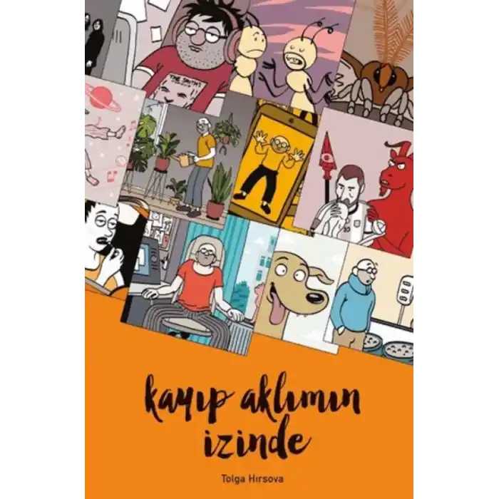 TCX Kayıp Aklımın İzinde