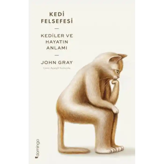 TCX Kedi Felsefesi
