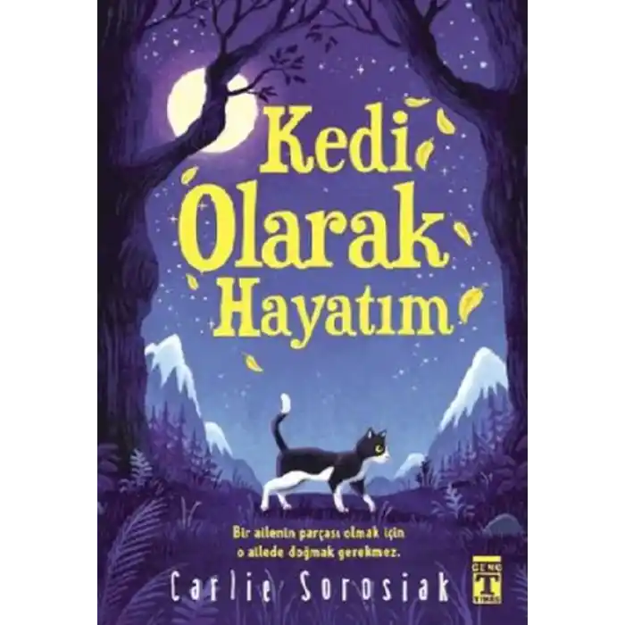 TCX Kedi Olarak Hayatım