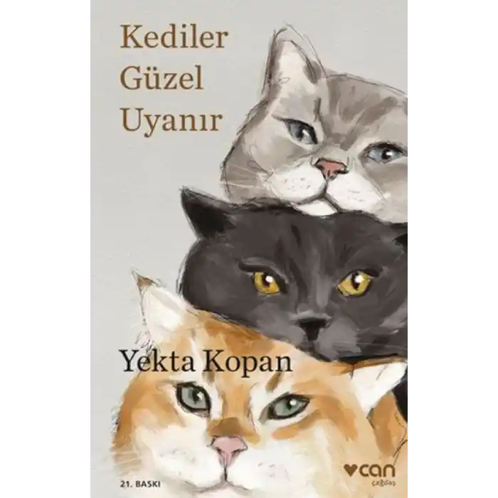 TCX Kediler Güzel Uyanır