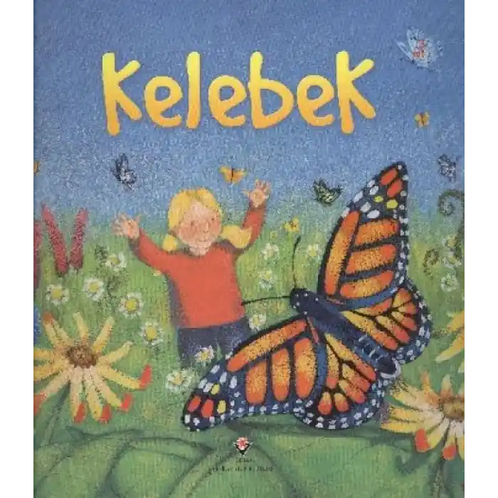 TCX Kelebek