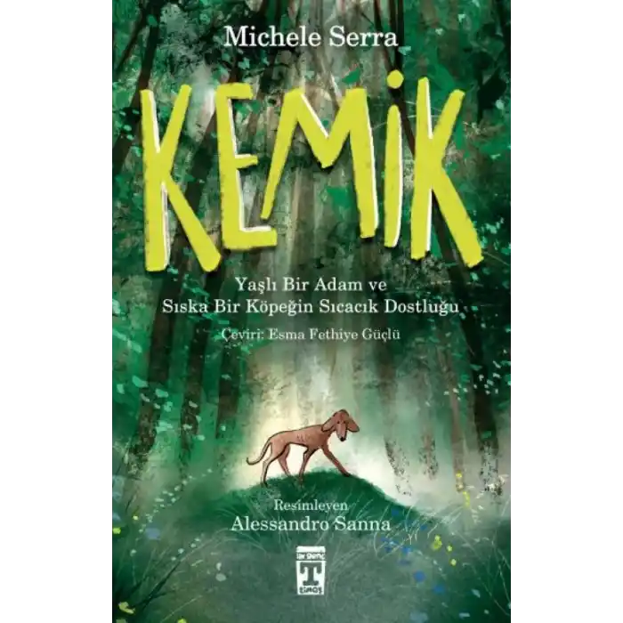 TCX Kemik