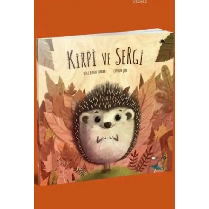 TCX Kirpi ve Sergi