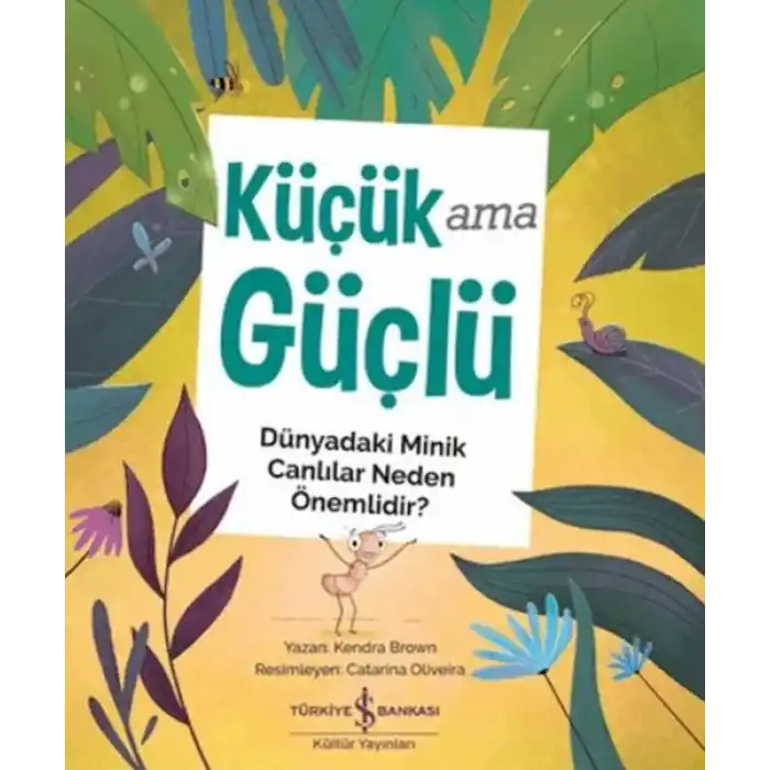TCX Küçük Ama Güçlü