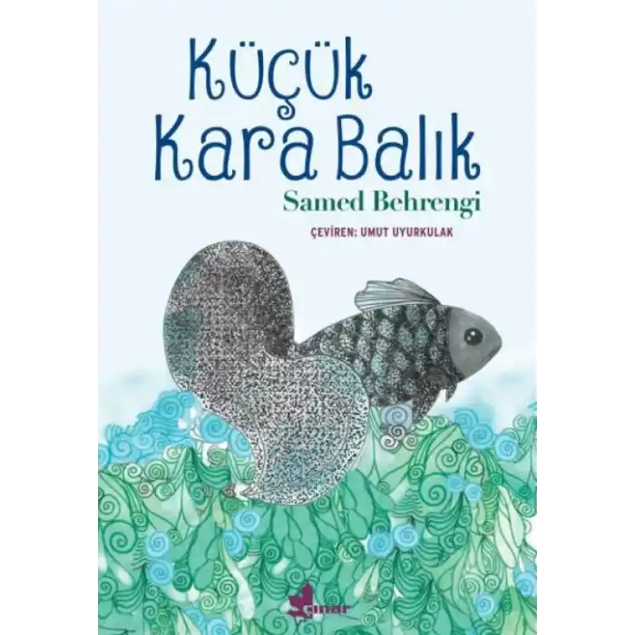 TCX Küçük Kara