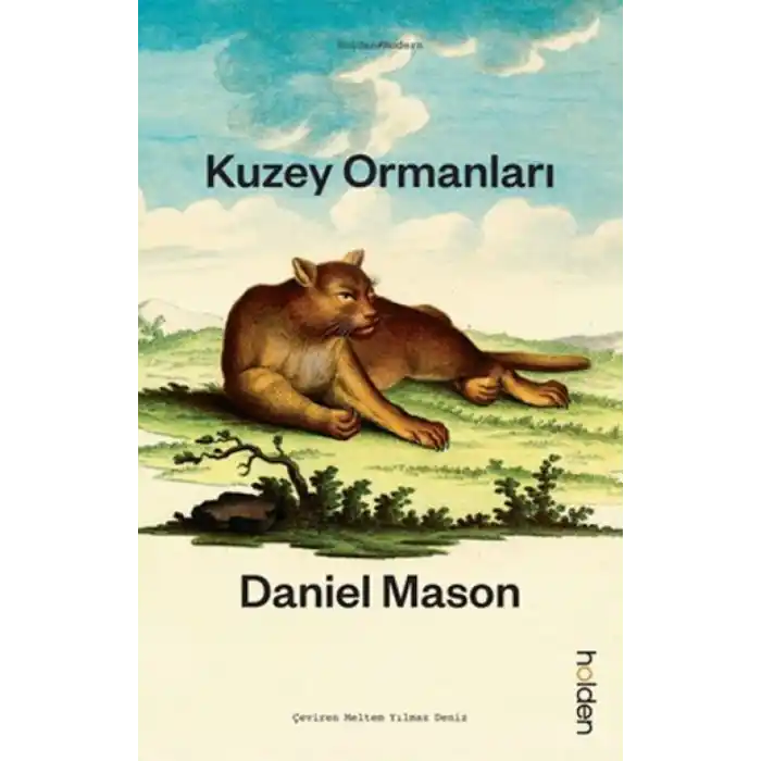 TCX Kuzey Ormanları