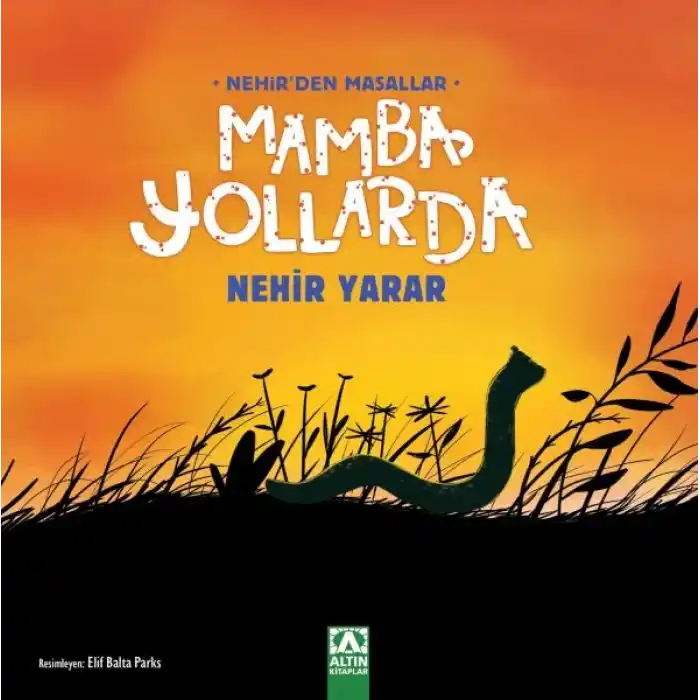 TCX Mamba Yollarda