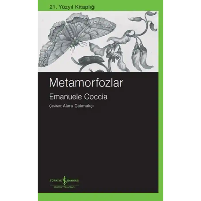 TCX Metamorfozlar