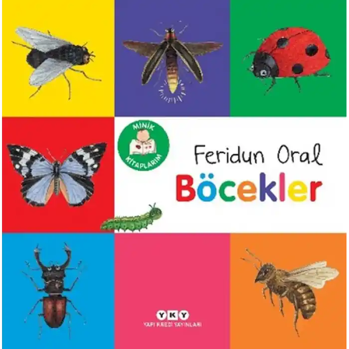 TCX Minik larım – Böcekler