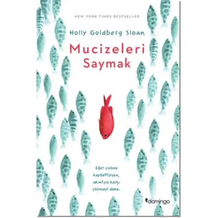 TCX Mucizeleri Saymak