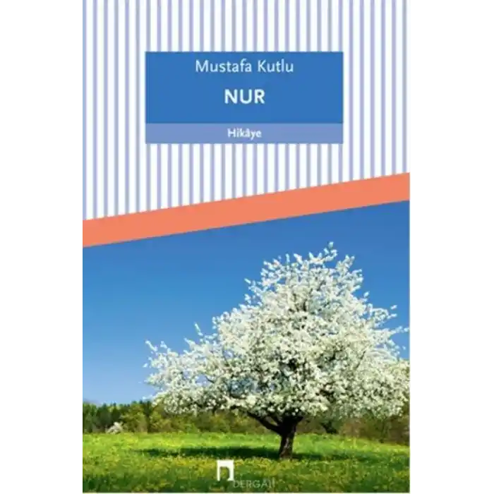 TCX Nur