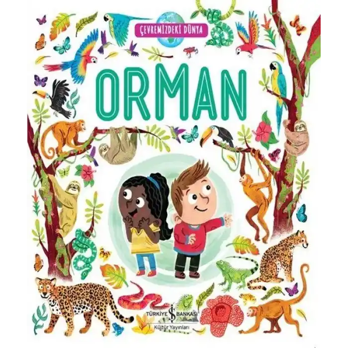 TCX Orman - Çevremizdeki Dünya