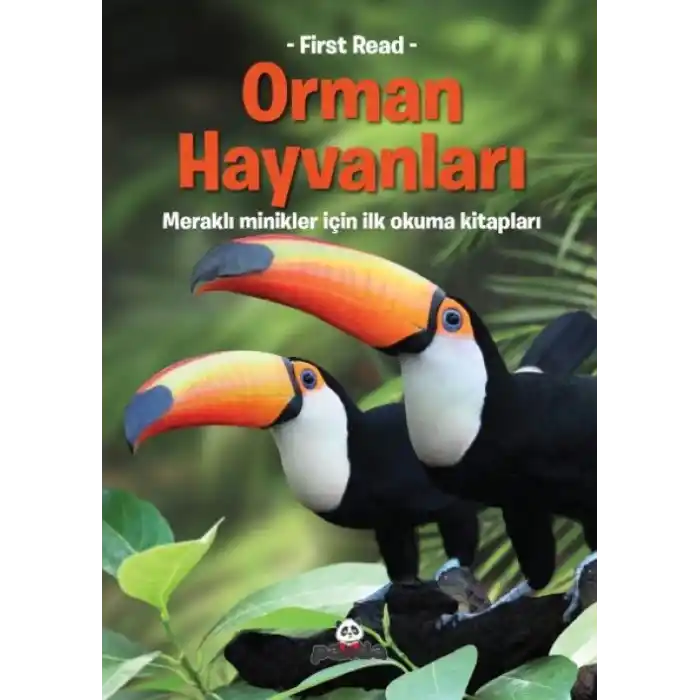 TCX Orman Hayvanları