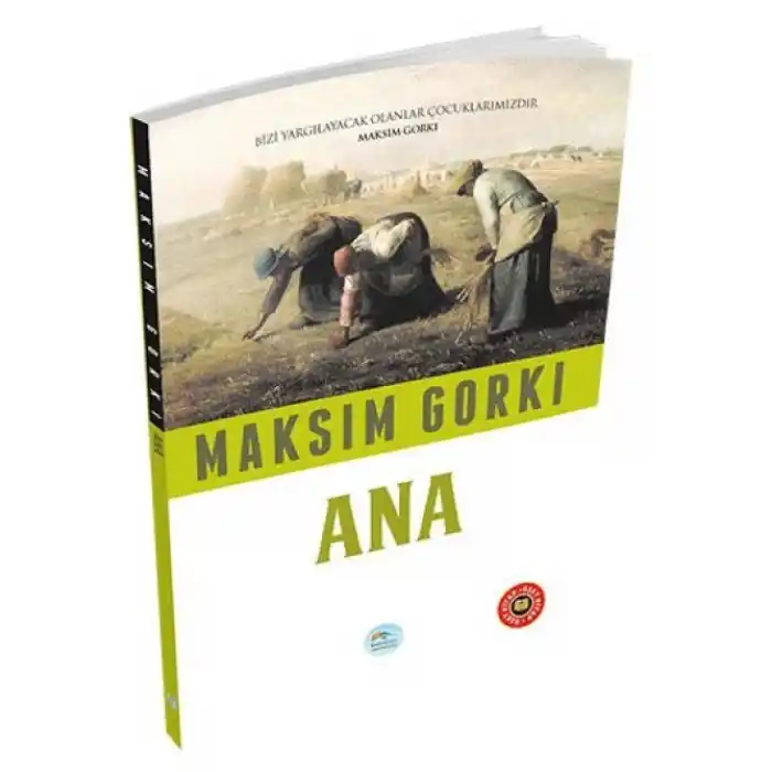 TCX Özet  - Ana