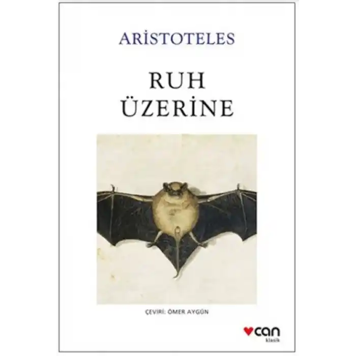 TCX Ruh Üzerine