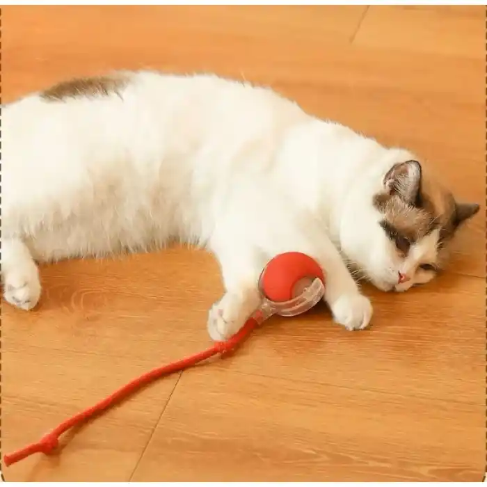 TCX ŞARJLI KEDİ OYUNCAĞI
