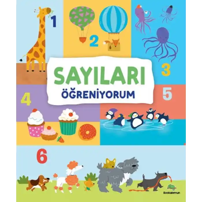 TCX Sayıları Öğreniyorum