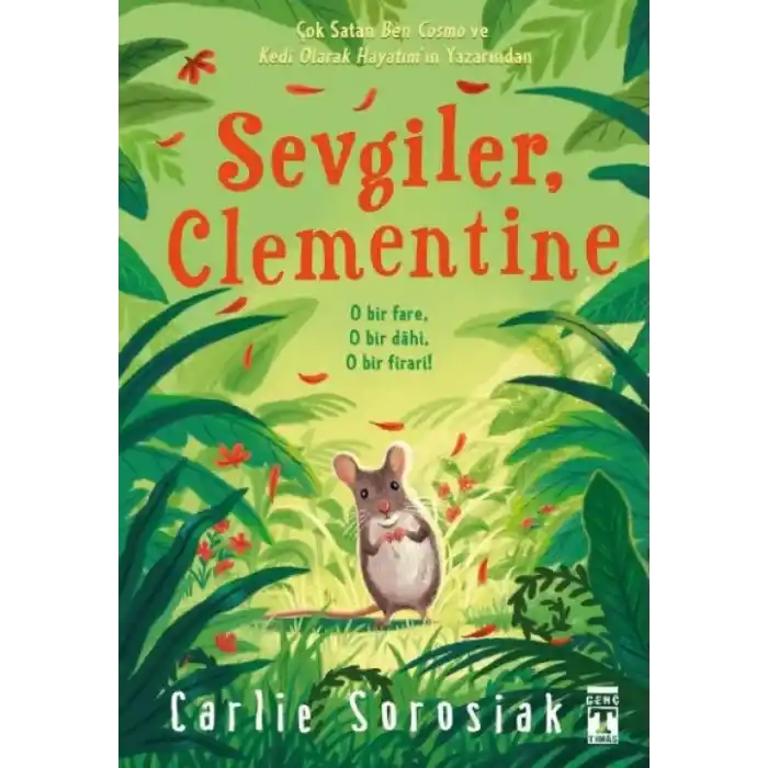 TCX Sevgiler Clementine