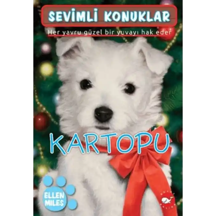 TCX Sevimli Konuklar 2 - Kartopu