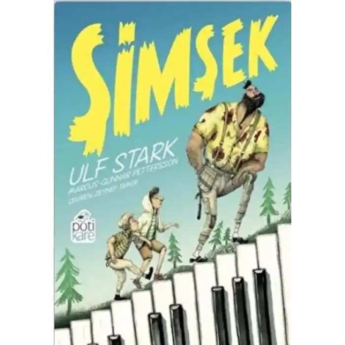 TCX Şimşek