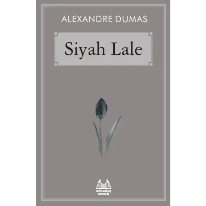 TCX Siyah