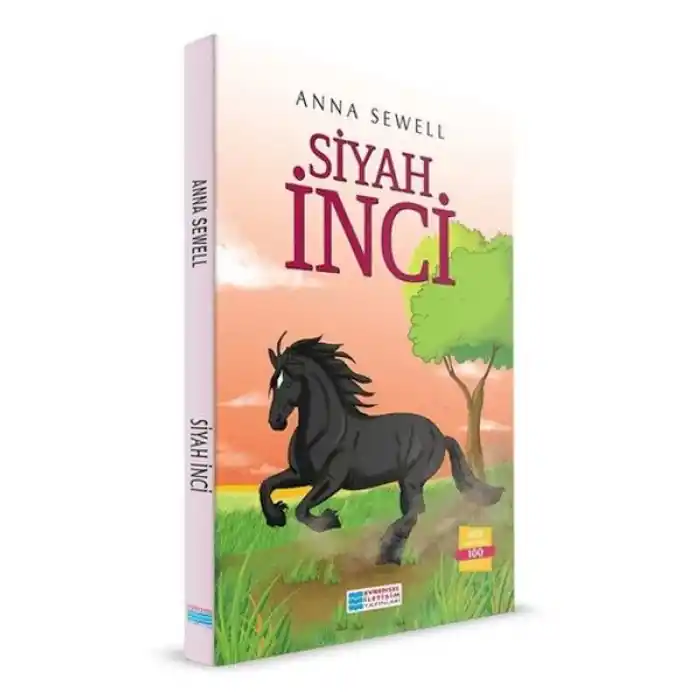 TCX Siyah