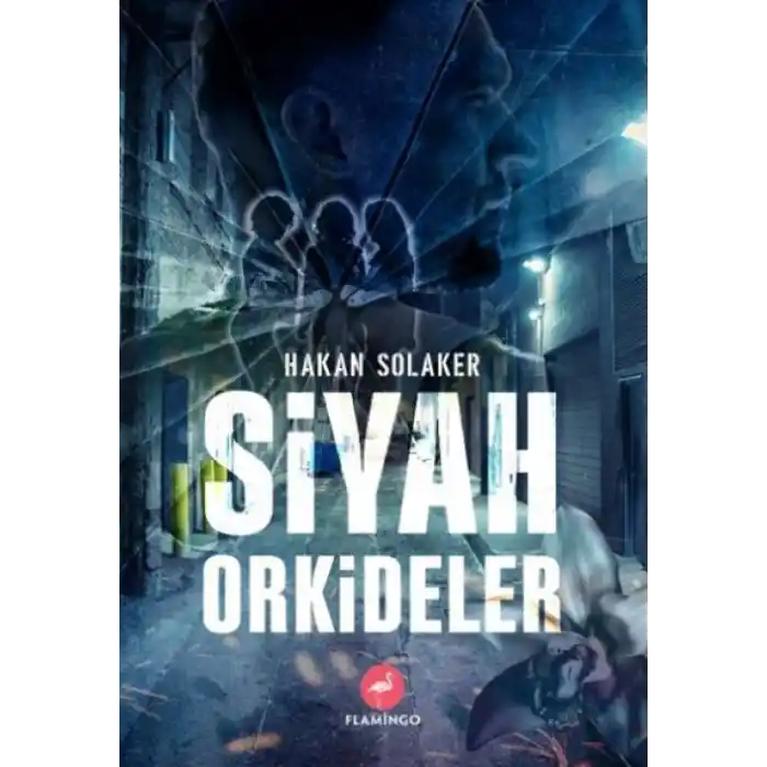 TCX Siyah Orkideler