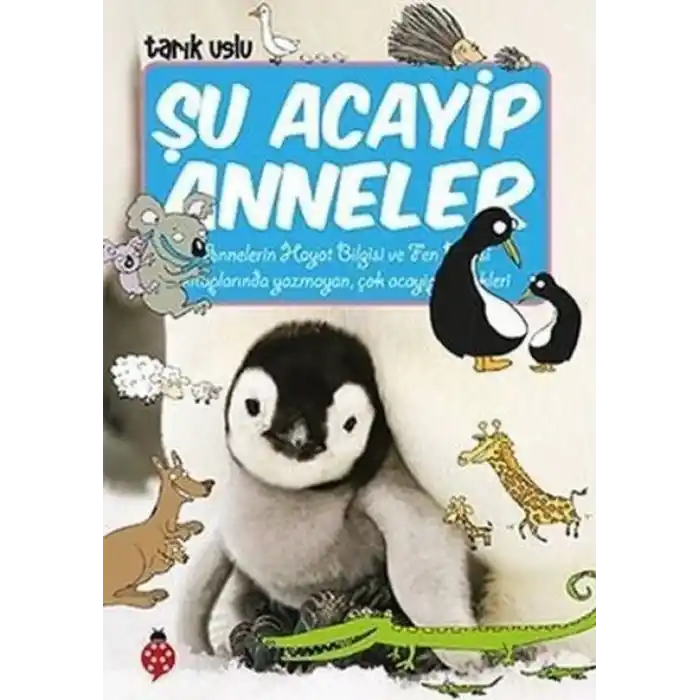 TCX Şu Acayip Anneler