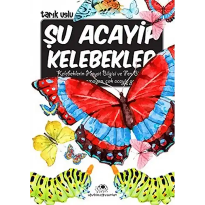 TCX Şu Acayip Kelebekler