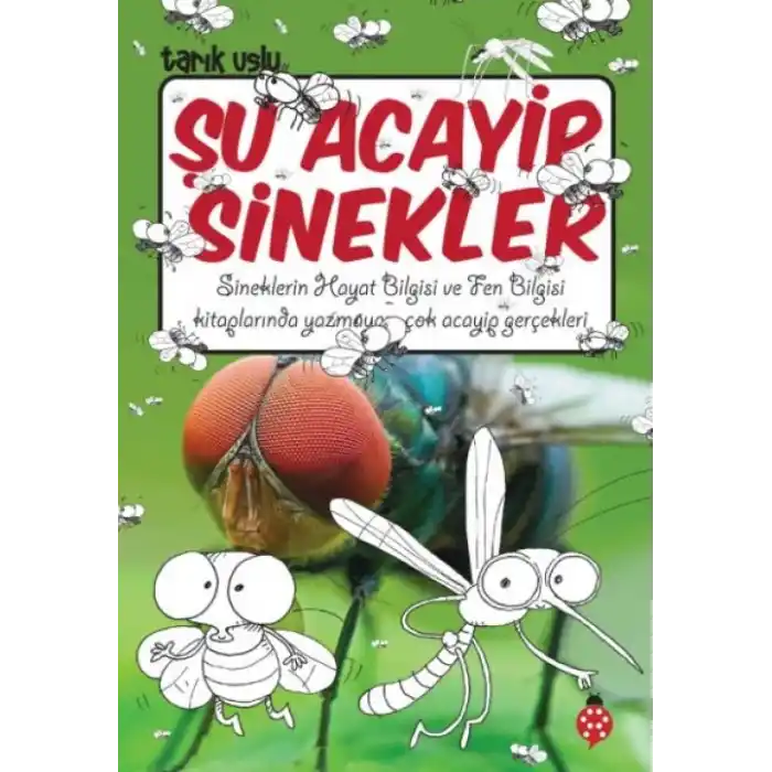 TCX Şu Acayip Sinekler