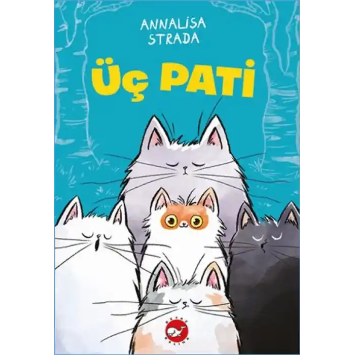 TCX Üç Pati